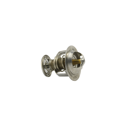 Thermostat 129470-49801