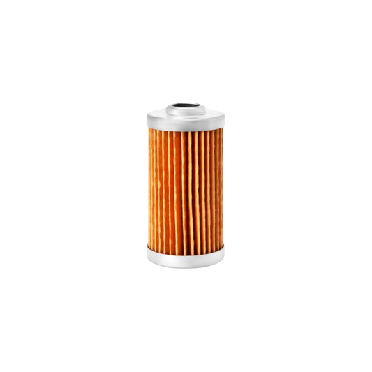 Fuel Filter FF5260