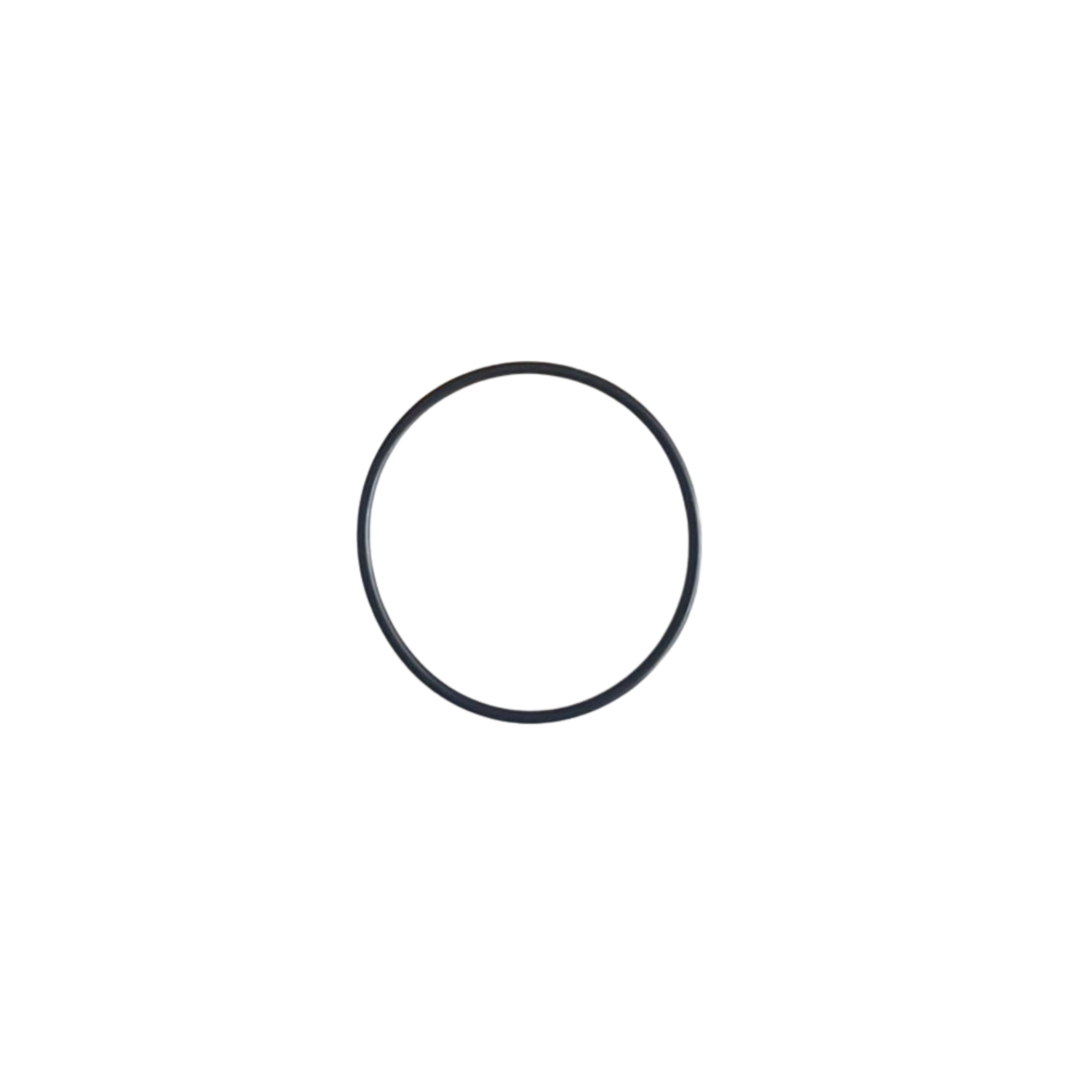 Yanmar O-Ring X02173476