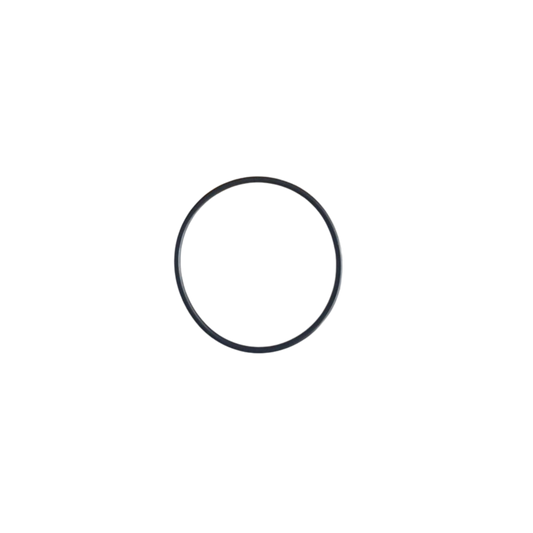 O-Ring X02173476
