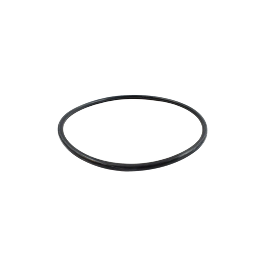 Thermostat Gasket 129150-49811