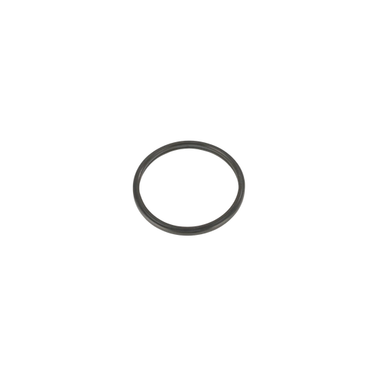Thermostat Gasket 119773-49570